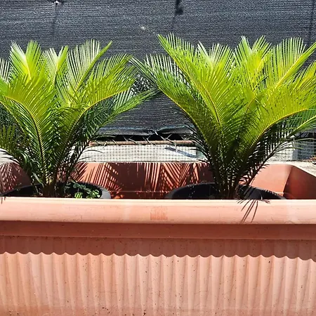 Guest Nonantola Apartamento Modena