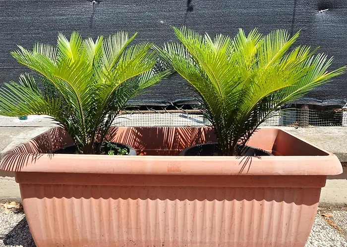 Guest Nonantola Apartament Modena